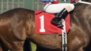 Jockey sitting on horse with number 1 on saddle