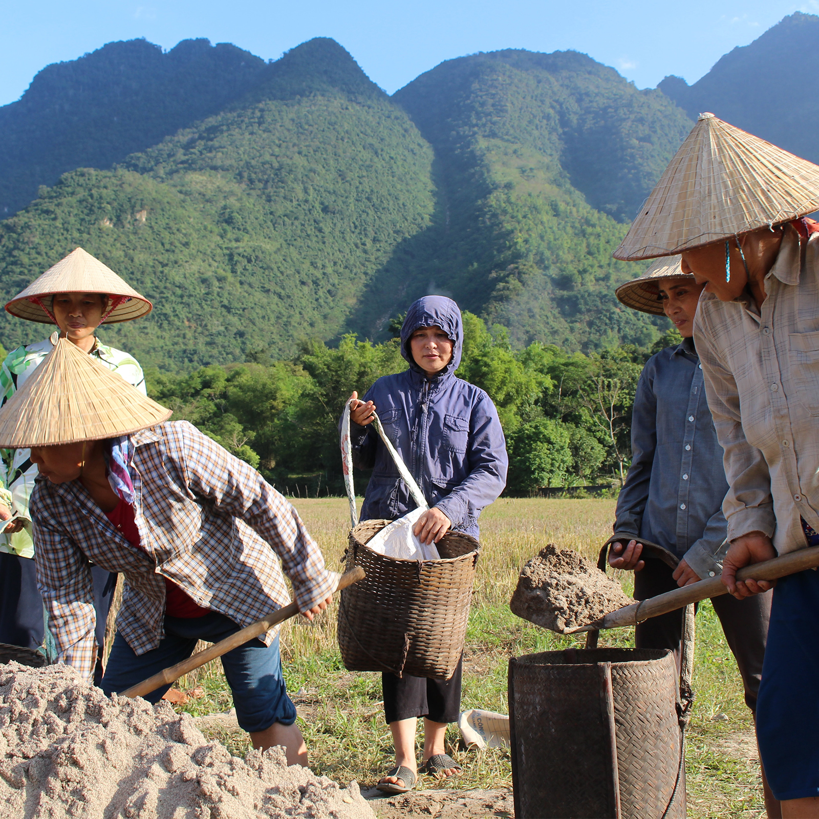 close up of few asian people in their traditional hats digging in the soil