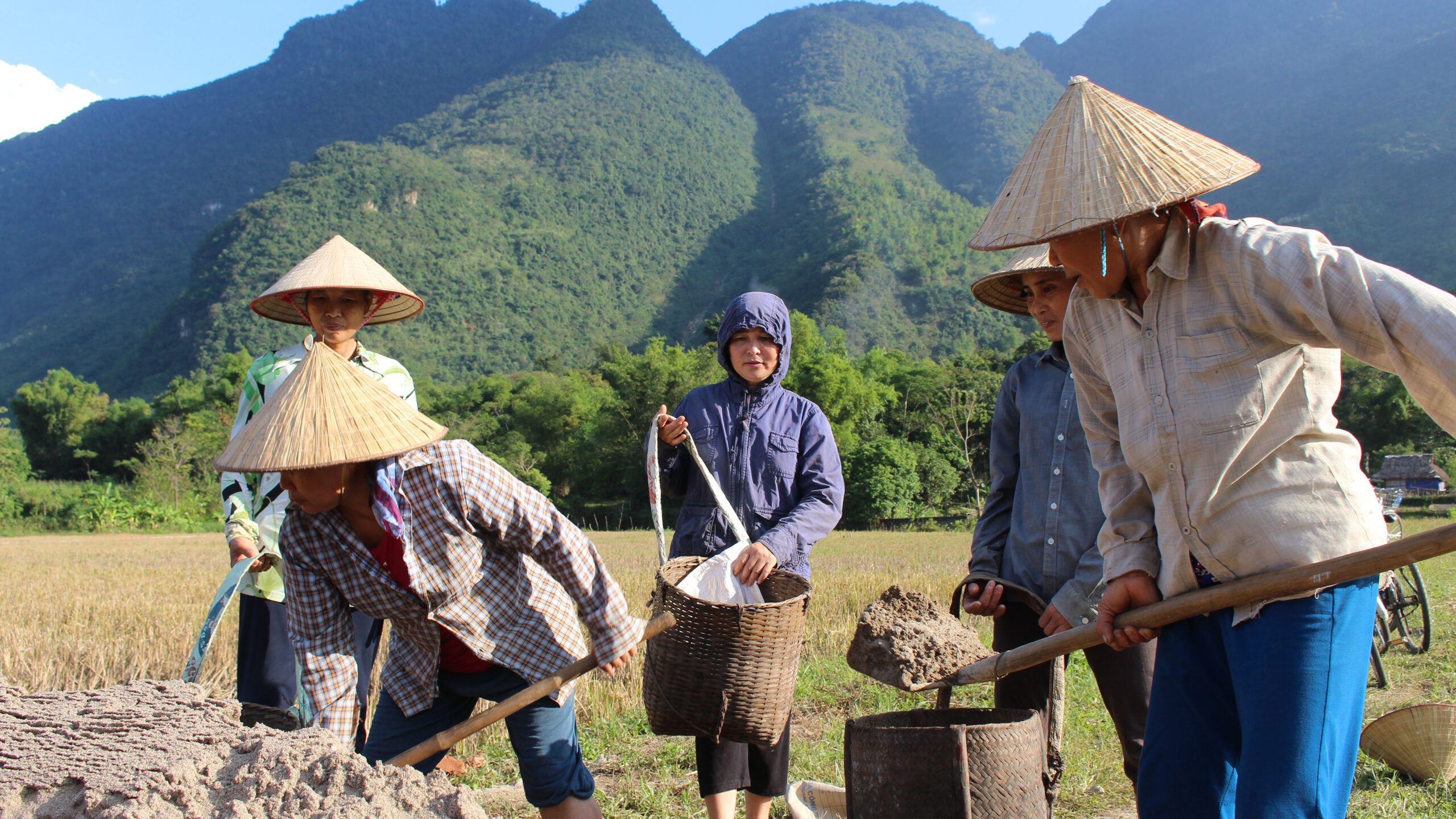 asian people in traditional hats digging in the soil