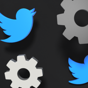 Twitter icon and cog motif