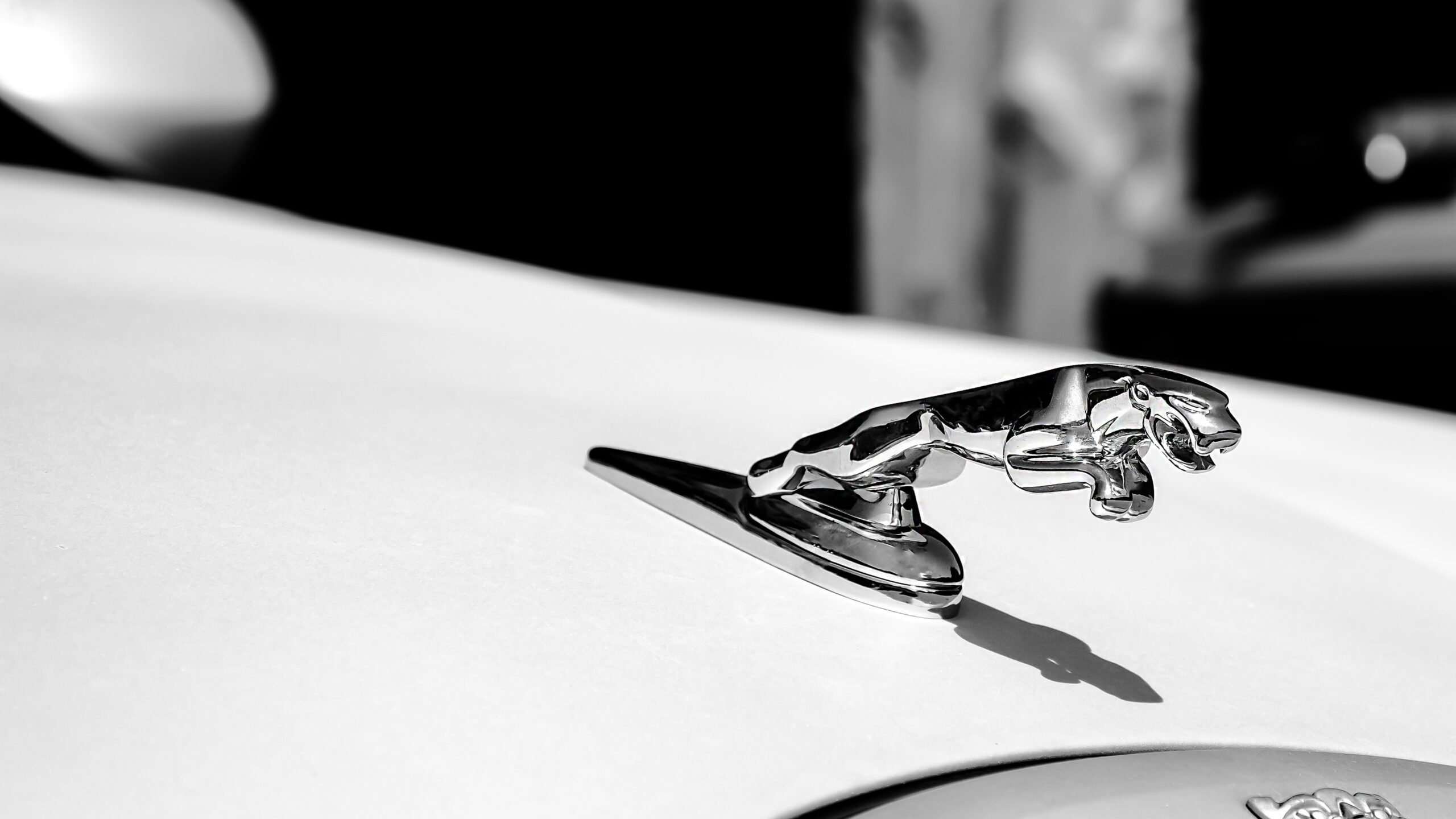 White Jaguar car with Jaguar logo on bonnet